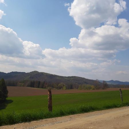 Appartamento Fewo Schiffner Bad Schandau Esterno foto