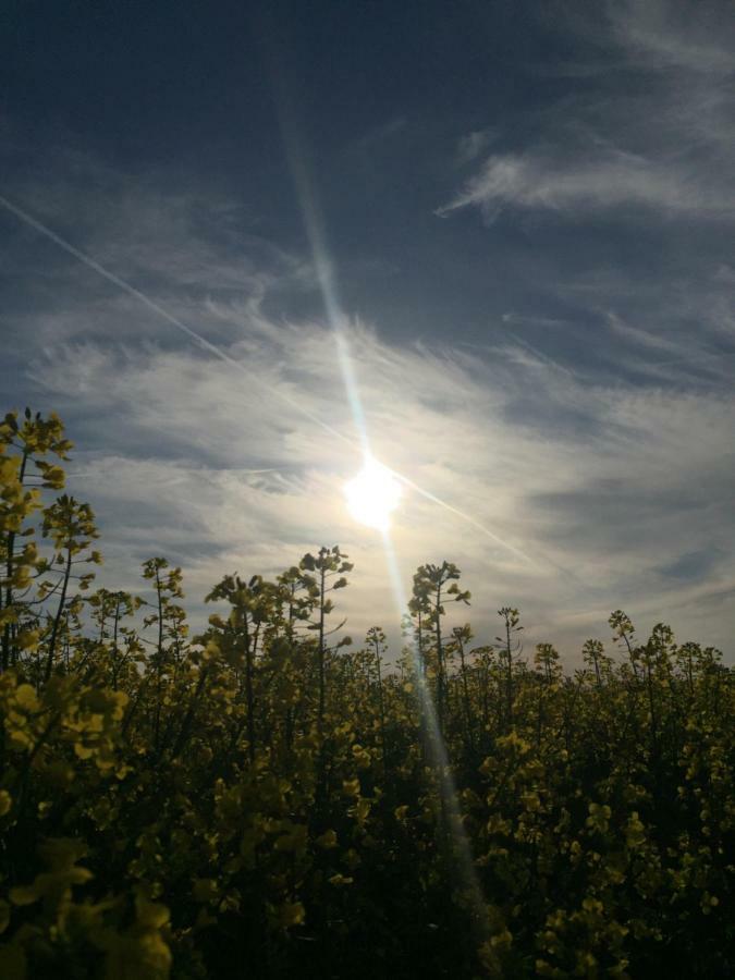 Appartamento Fewo Schiffner Bad Schandau Esterno foto