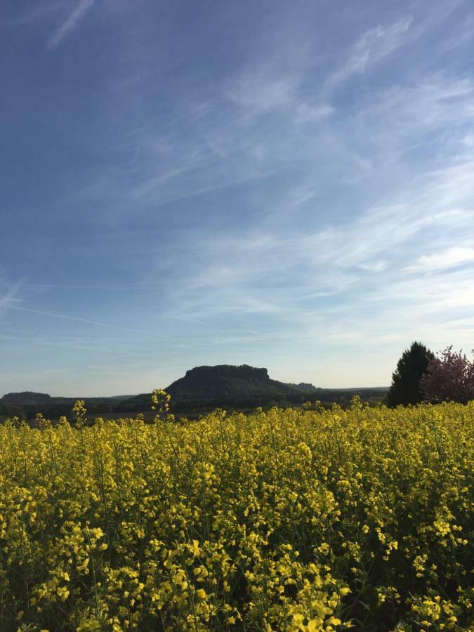 Appartamento Fewo Schiffner Bad Schandau Esterno foto